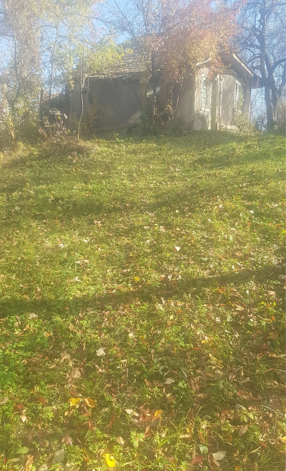 Teren de vanzare cu casă veche si livadă
