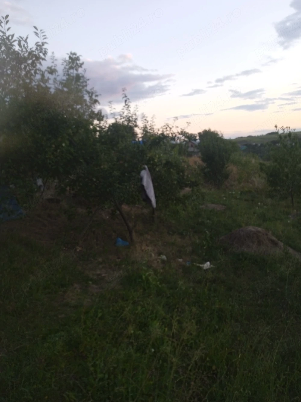 vand teren in Satu Roșiori Botoșani 