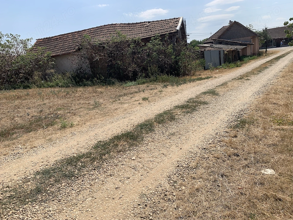Teren extravilan 2610 mp sat Tautelec in centru satului