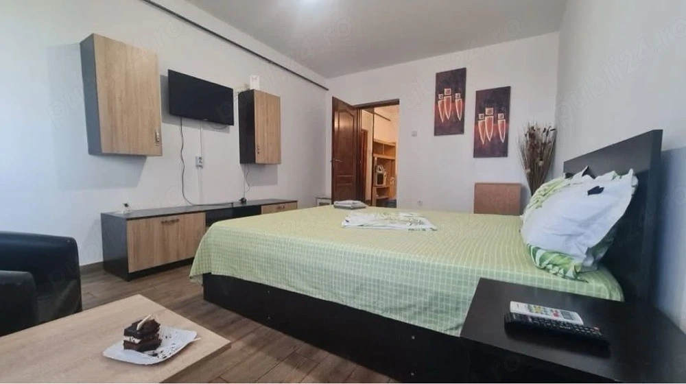 Apartament 1 camera