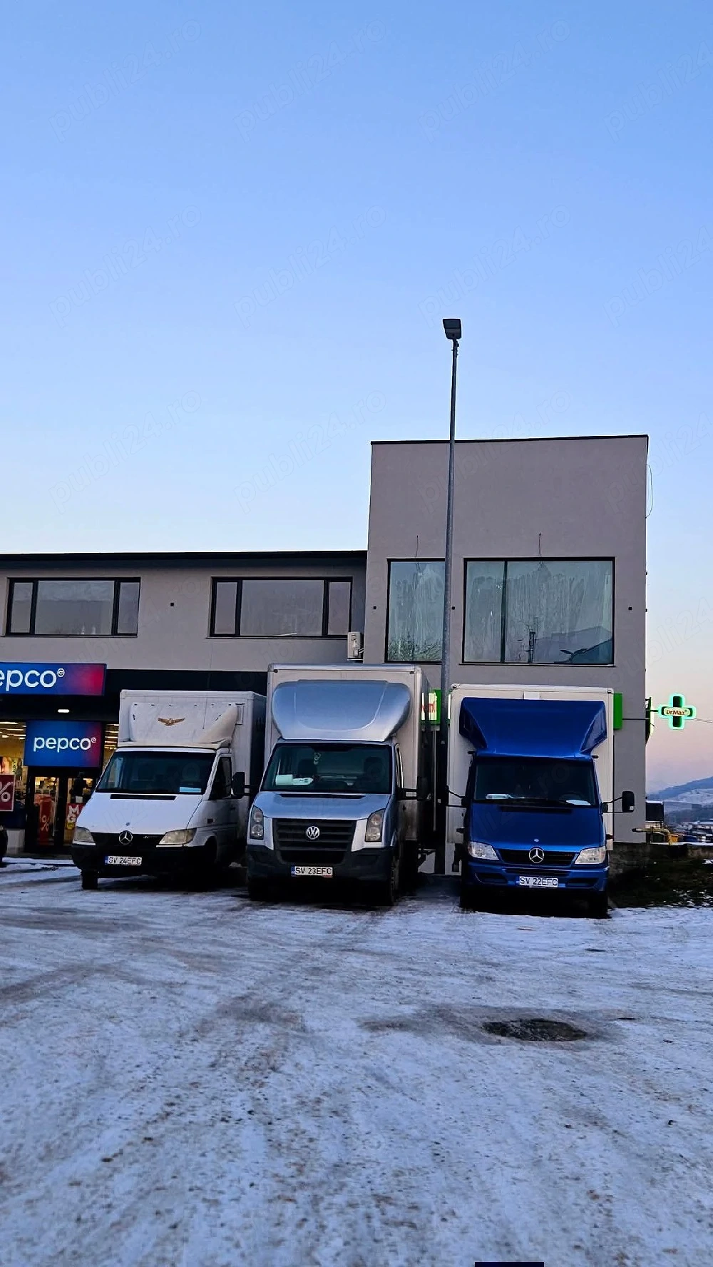 Sofer cat  B Distributie Paine 