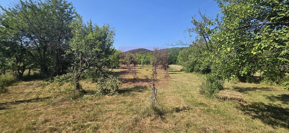 Teren intravilan de vanzare 3375 mp in Brebu
