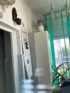 Apartament 3 camere Buzaului