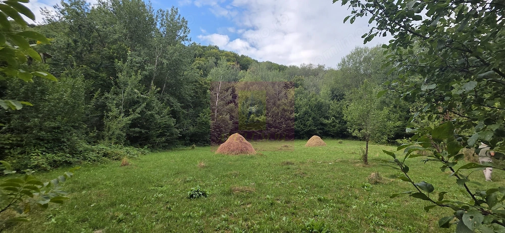Teren de vanzare 15.000 mp in Telega