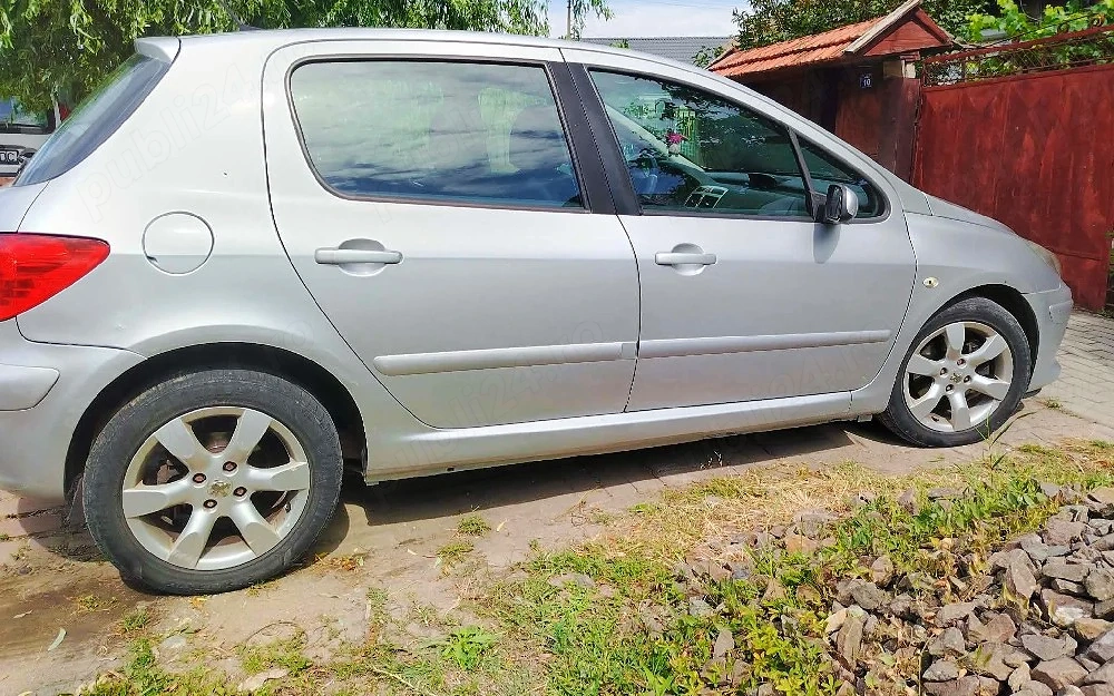 pejou 307 