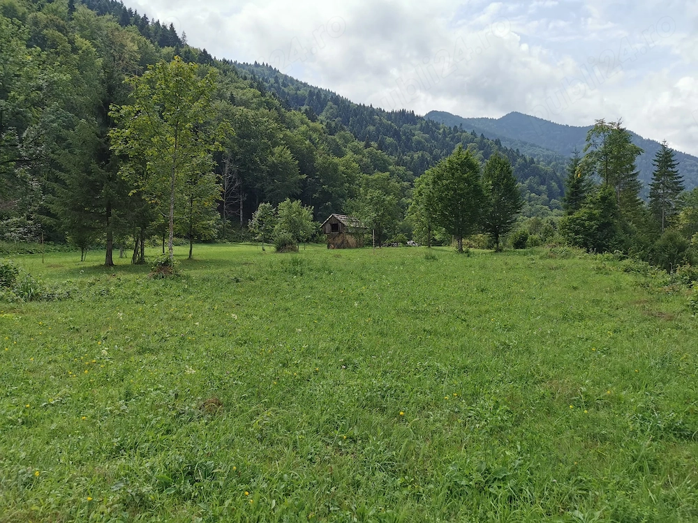 Vând teren intravilan 5.000 mp   Sat Brateș, Com. Tarcău, Jud. Neamț
