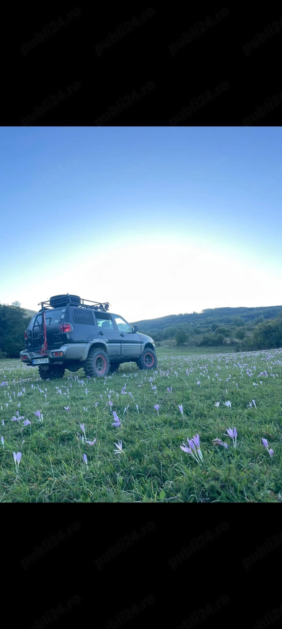 NISSAN Terrano