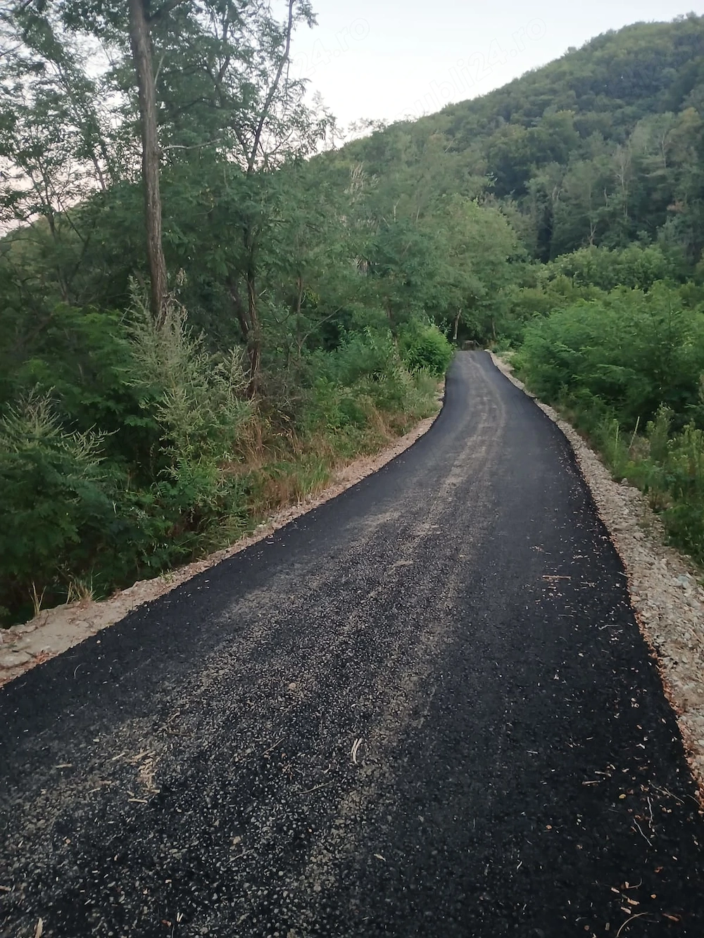 Teren de vânzare   Păușești-Măglași, Vâlcea