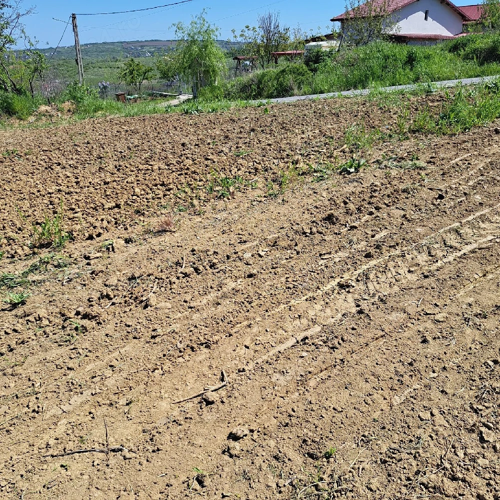 Vand teren in satul Goruni 