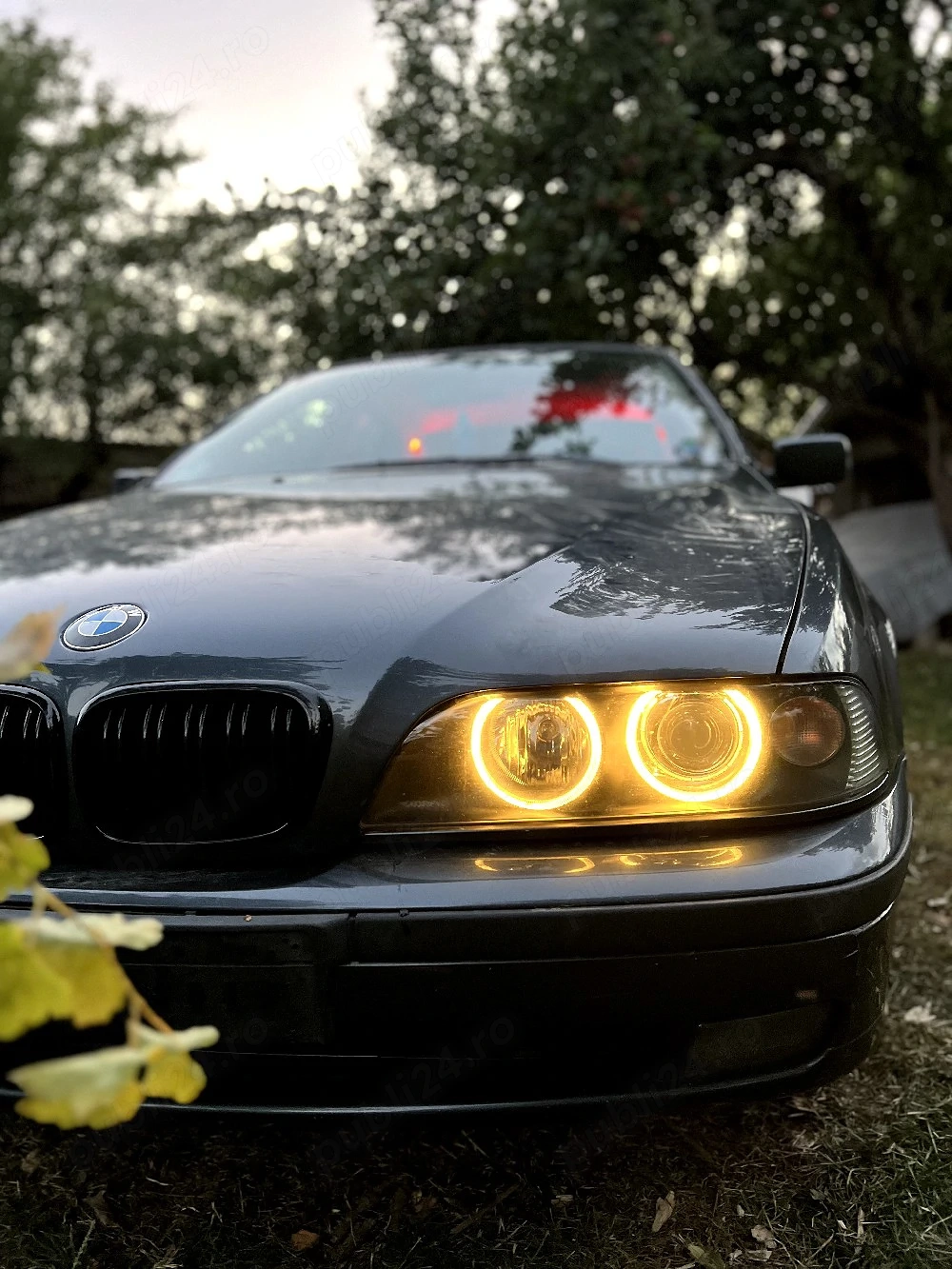 Bmw E39 1997 523i 