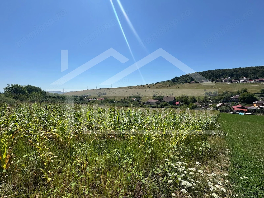 Teren, 1734mp,  intravilan, zona Remetea