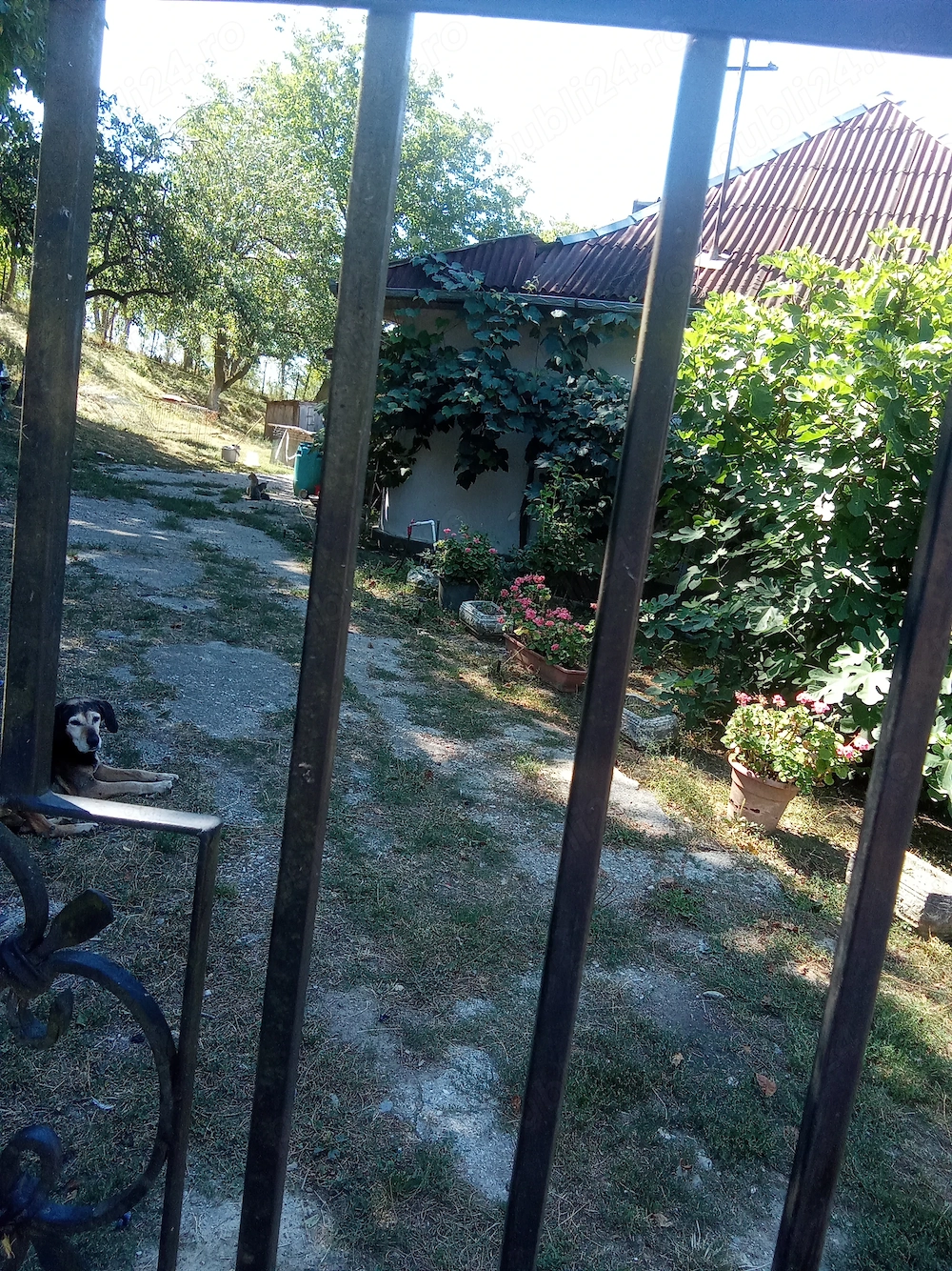 Vând proprietate deosebită