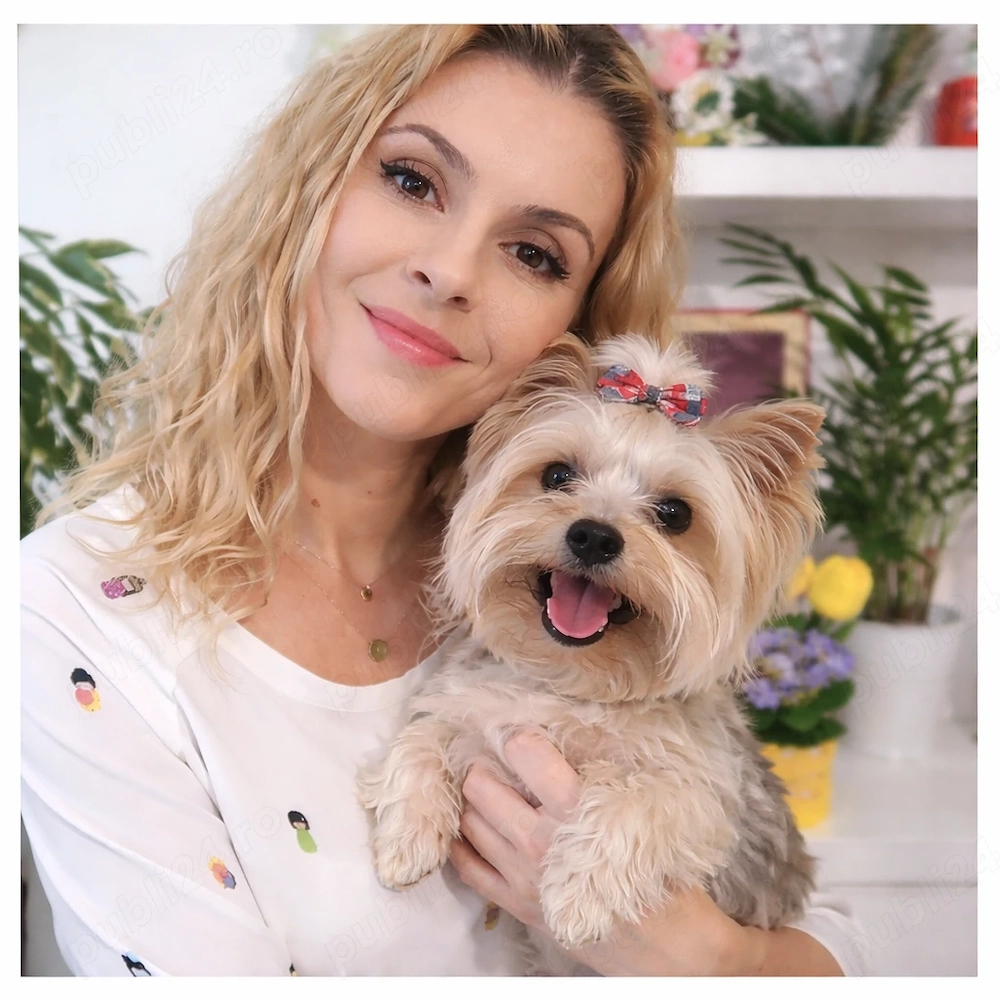 Pet sitter & Dog Walker Sector 6  - câini de talie mică medie și pisici