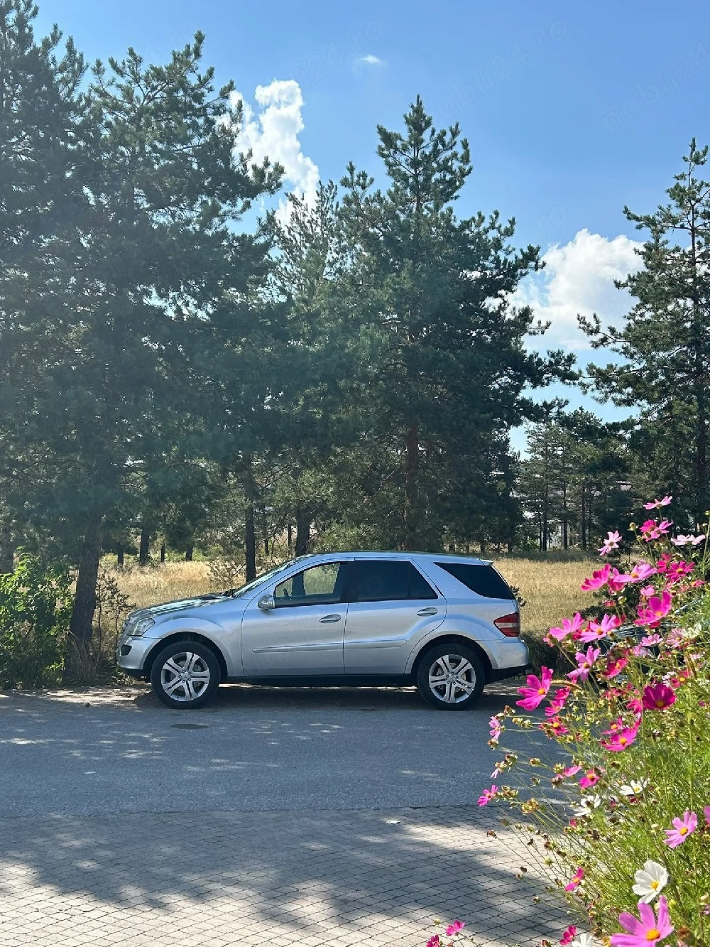 MERCEDES-BENZ Clasa Ml