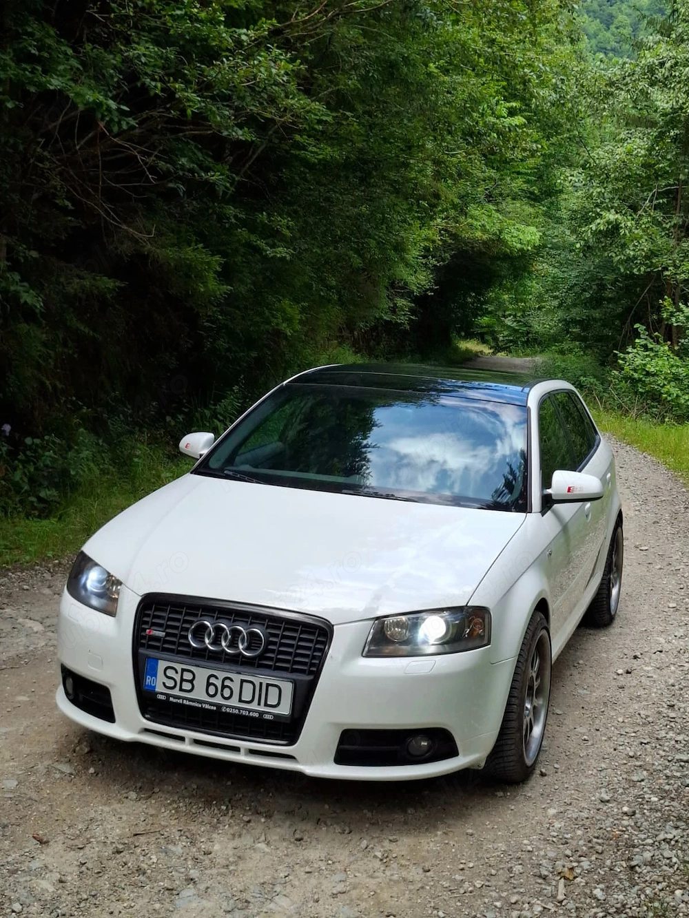 Audi A3 8P S-Line, Panoramic