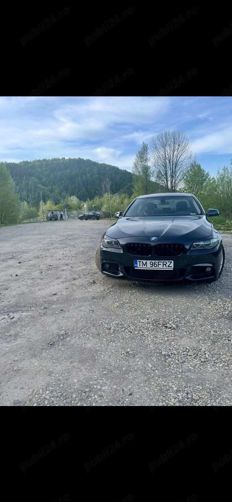 Vand Bmw F10, 520D