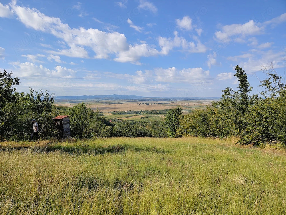 Colțul tău de rai pe Dealul Orașu Nou-Vii