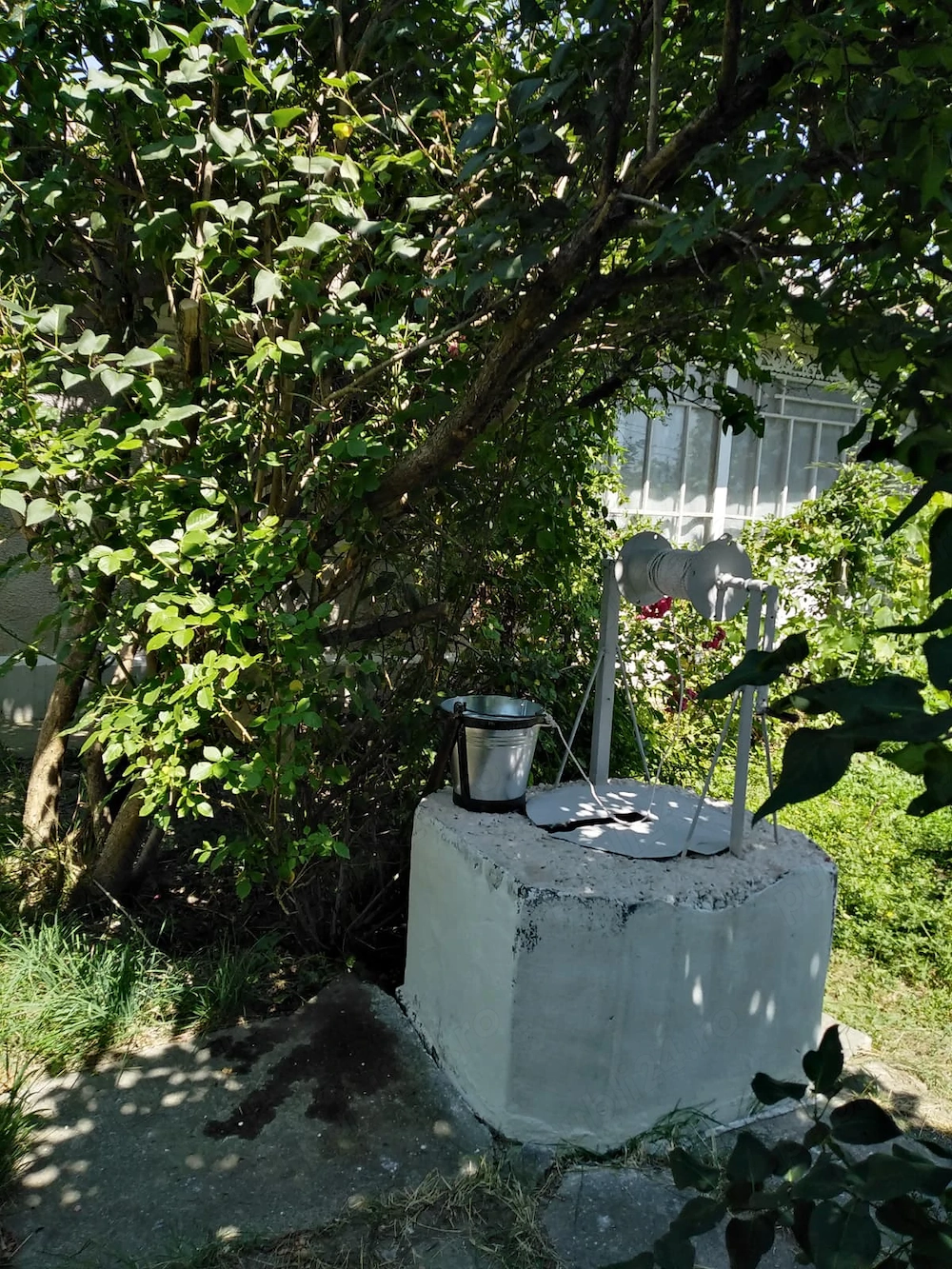 Casa bătrânească Poieni