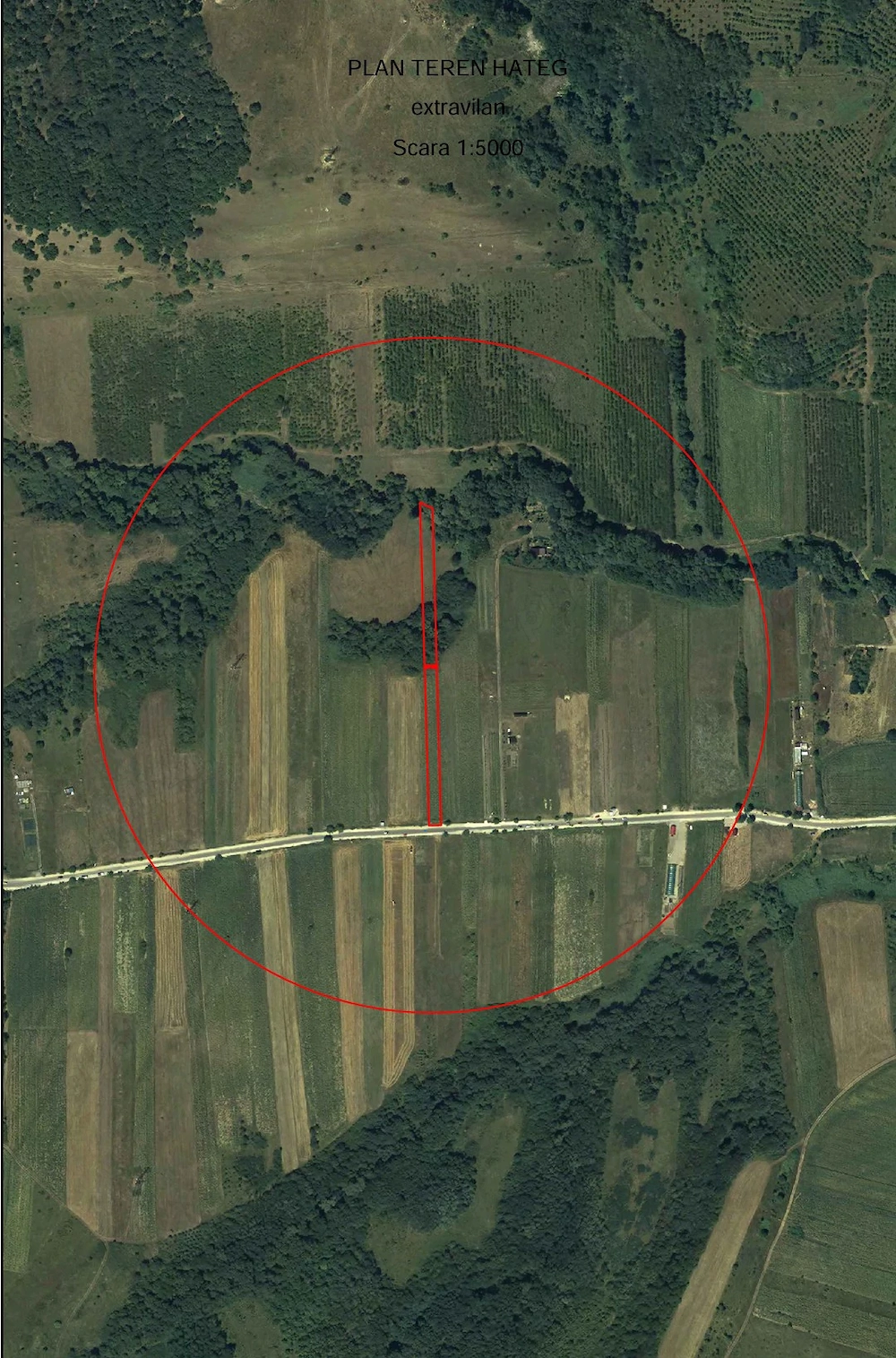 Vând teren situat intre Silvasul de Jos și Silvasul de Sus, in drumul spre Mănăstirea Prislop 