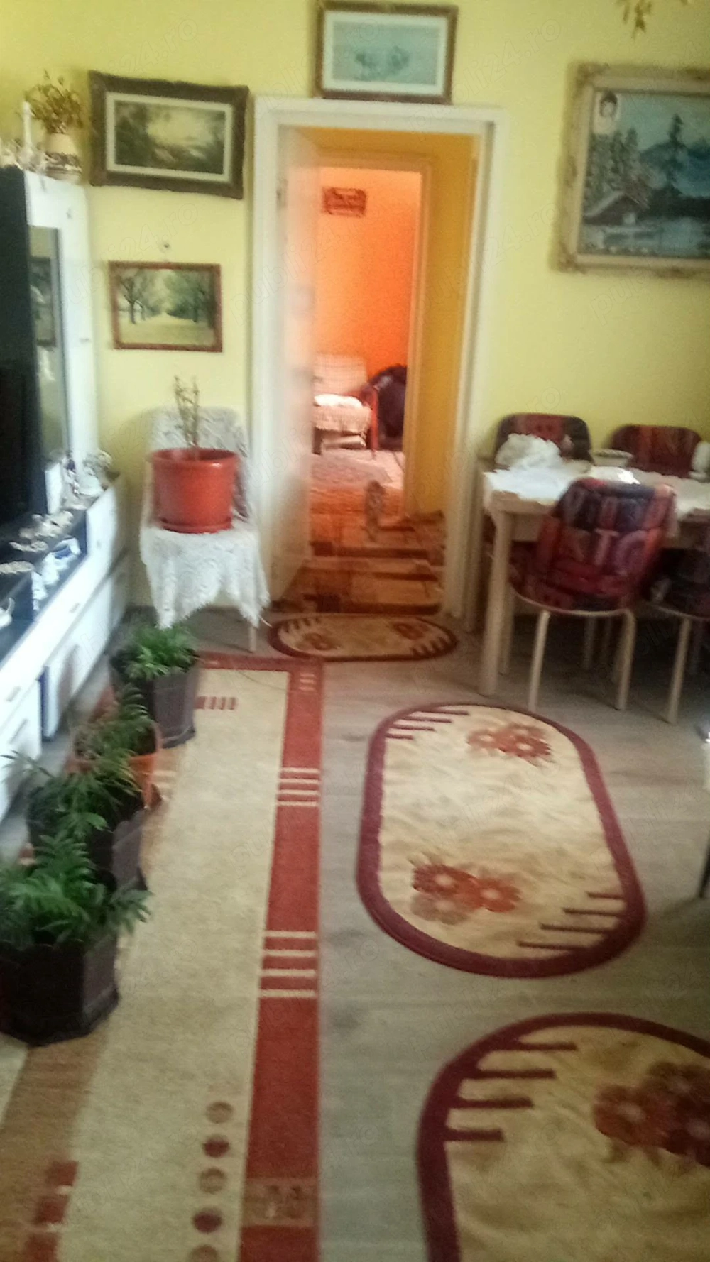 Apartament de vanzare in Caransebes