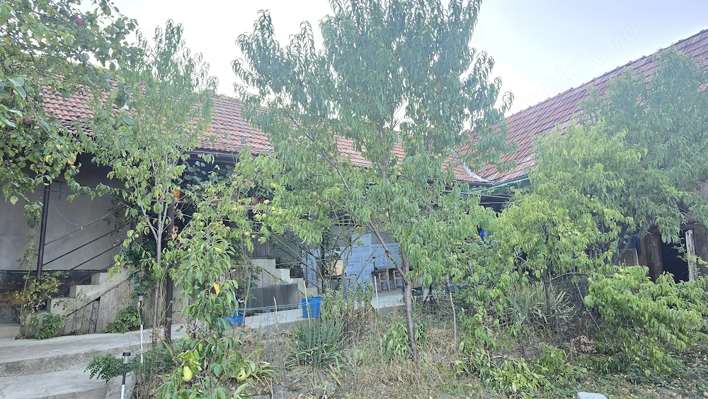 Vand casa in Deva, zona Viile Noi, suprafata totala de teren de 766 mp, 