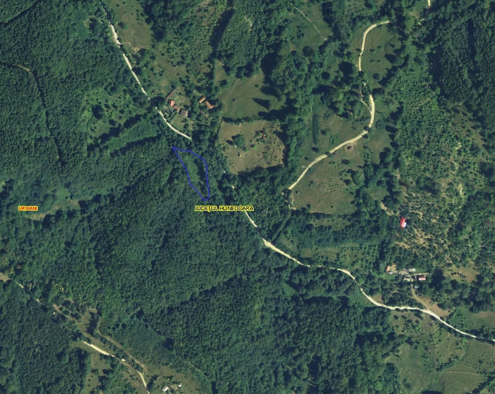 Teren extravilan Uricani, judetul Hunedoara