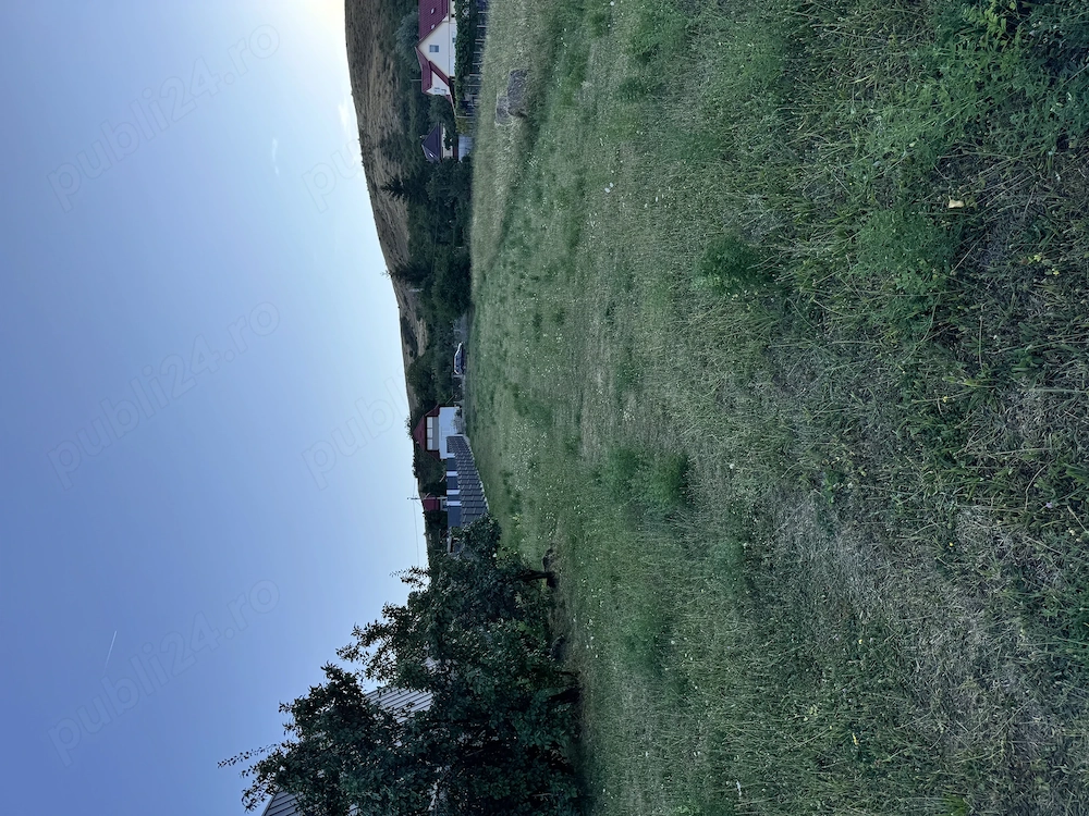 Teren intravilan Săndulești, Cluj - 4750m2 cu livada și magazie 20m2