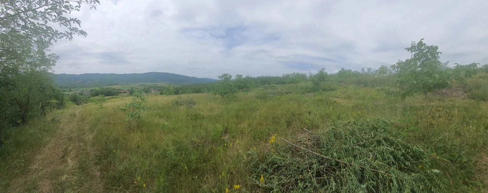 Teren deosebit 11.000 mp + livadă de nuci | Pârscov   Măgura, Buzău | ideal pensiune   glamping