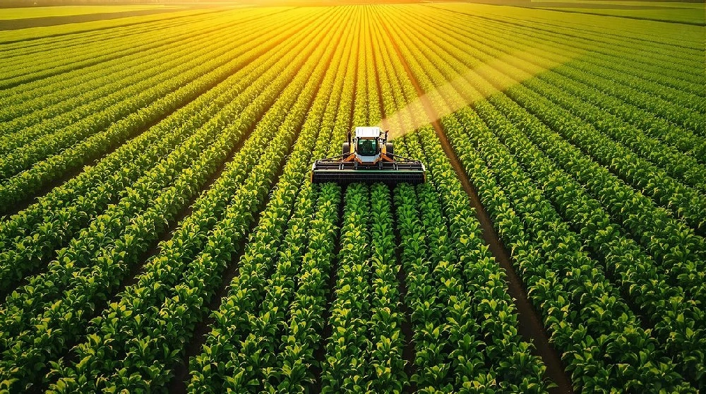 Vând 5 Ha teren agricol 35 000 RON ha