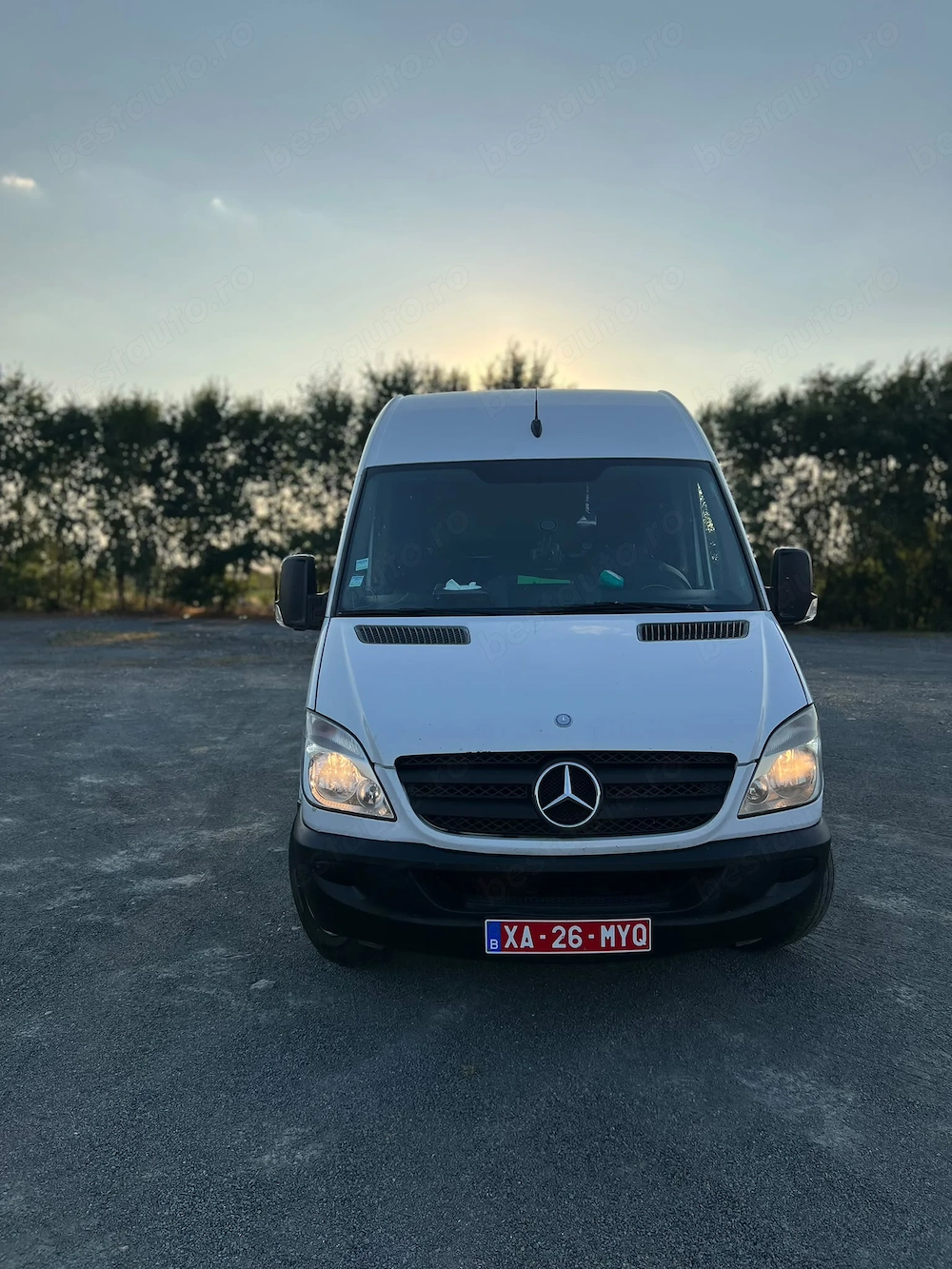 Mercedes Sprinter 313 CDi - Maxi - an 2010