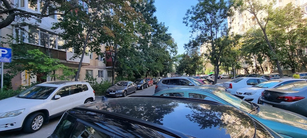 Timisoara Profii