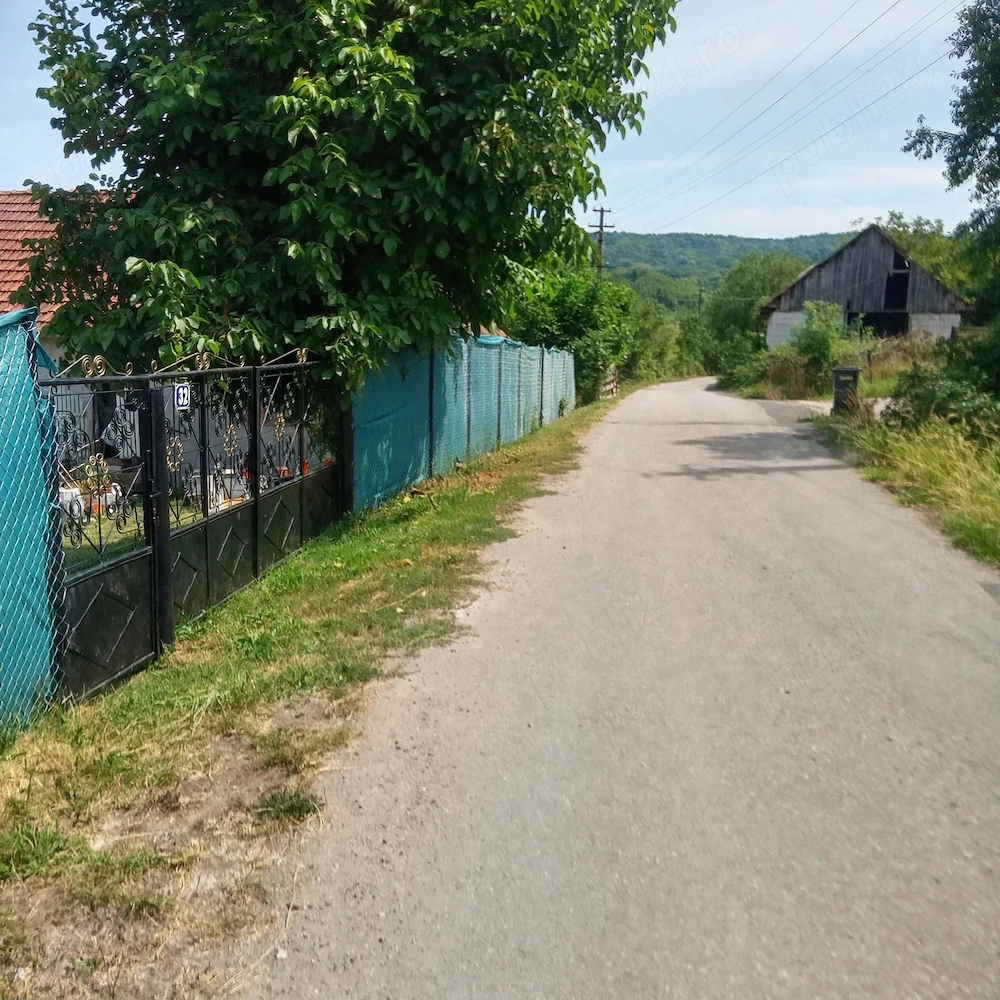 Casa de vânzare la munte în jud Hunedoara 