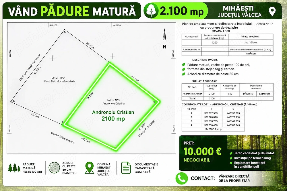 Vând pădure matură, stejar, fag, carpen, Mihaesti Valcea