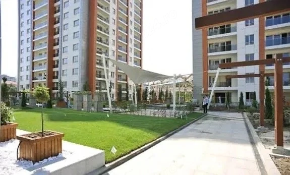 dristor dudesti incity