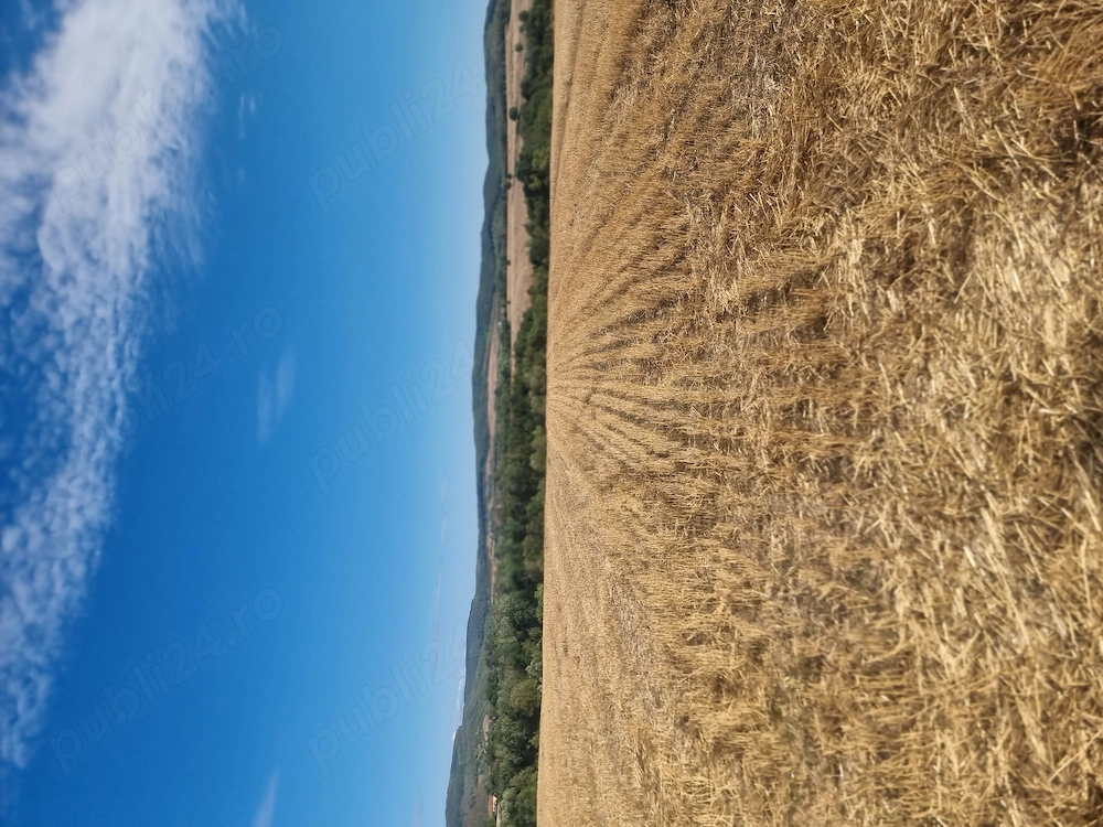 Teren intravilan 5100 mp . 35 km Oradea 