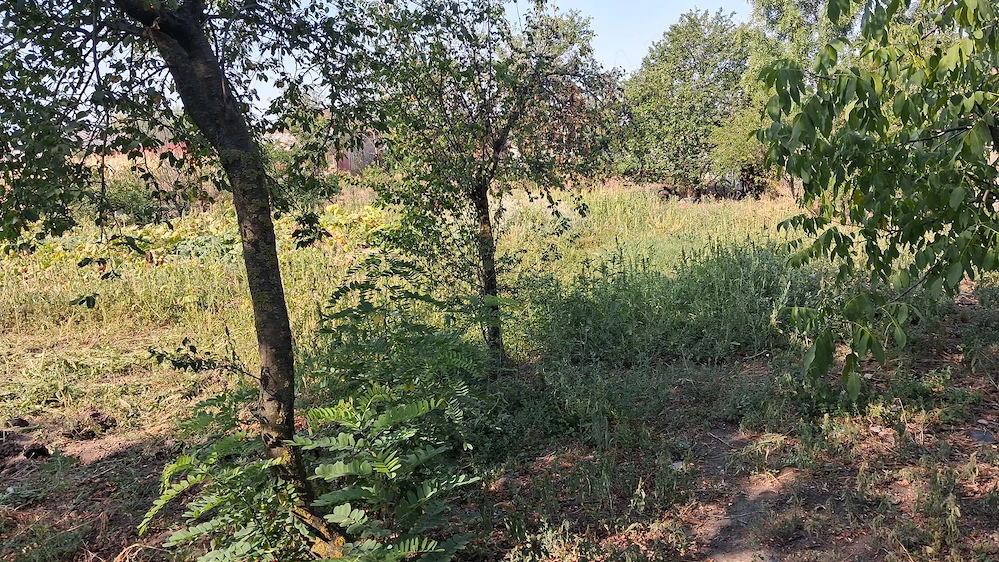 Vand casa Comuna Valea Mare, Slatina Olt