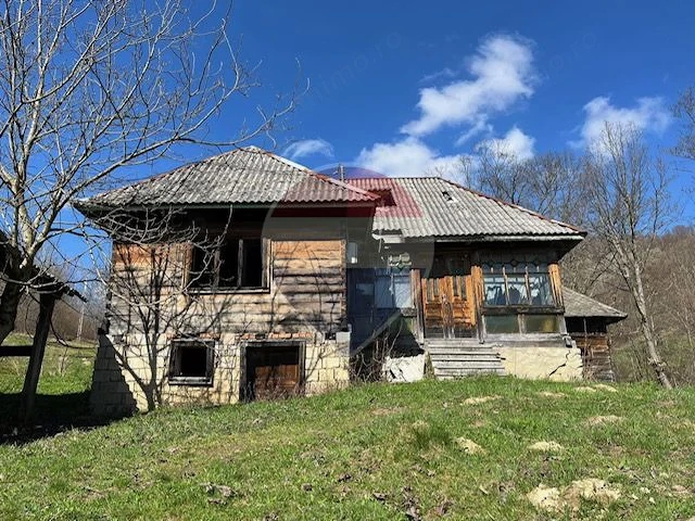 Teren 7,495mp Barsana /  Valea Muntelui