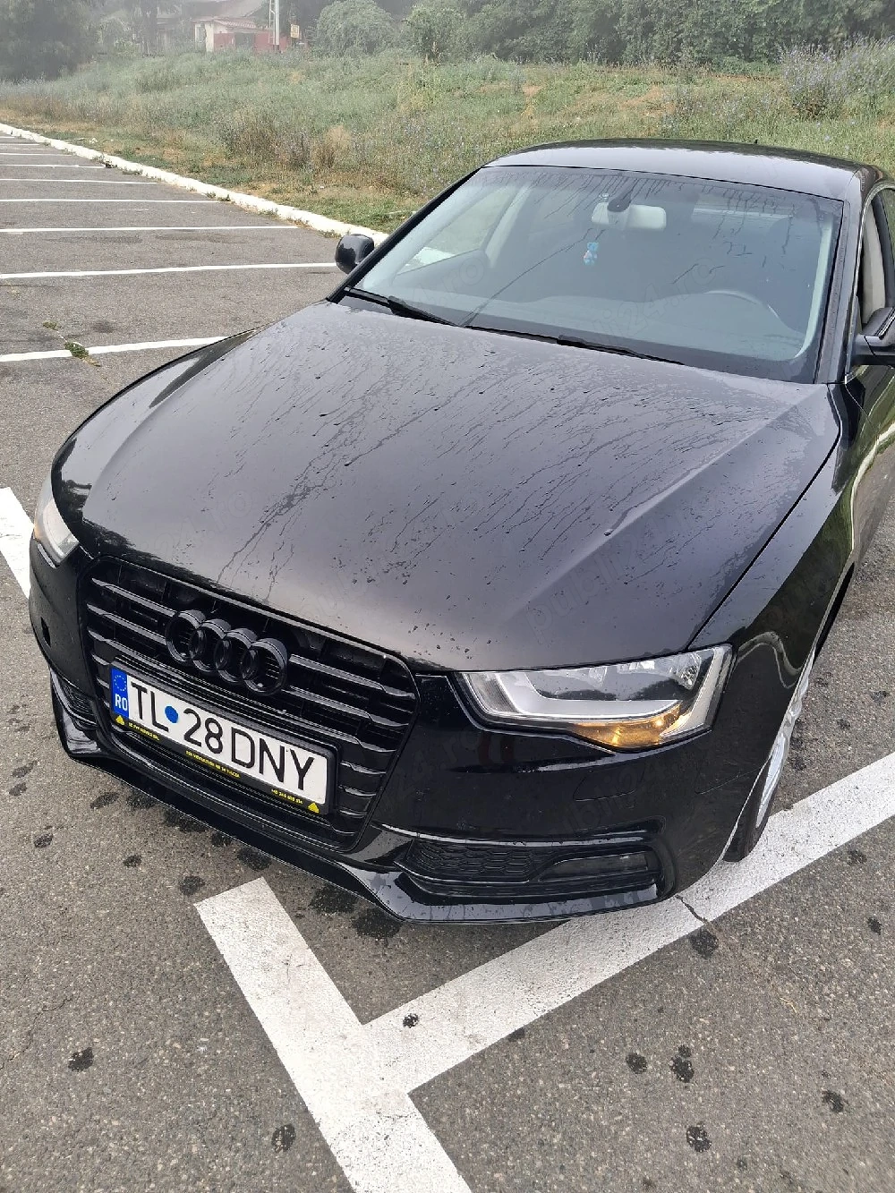 vanzari auto