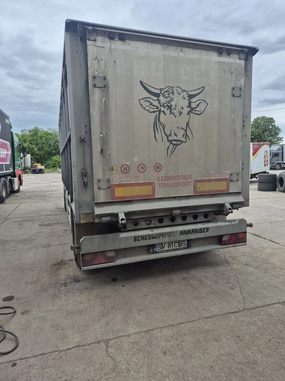 Angajam șofer transport animale vii 