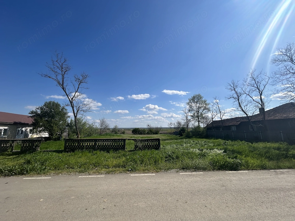 Teren intravilan Ciocănești (Călărași)
