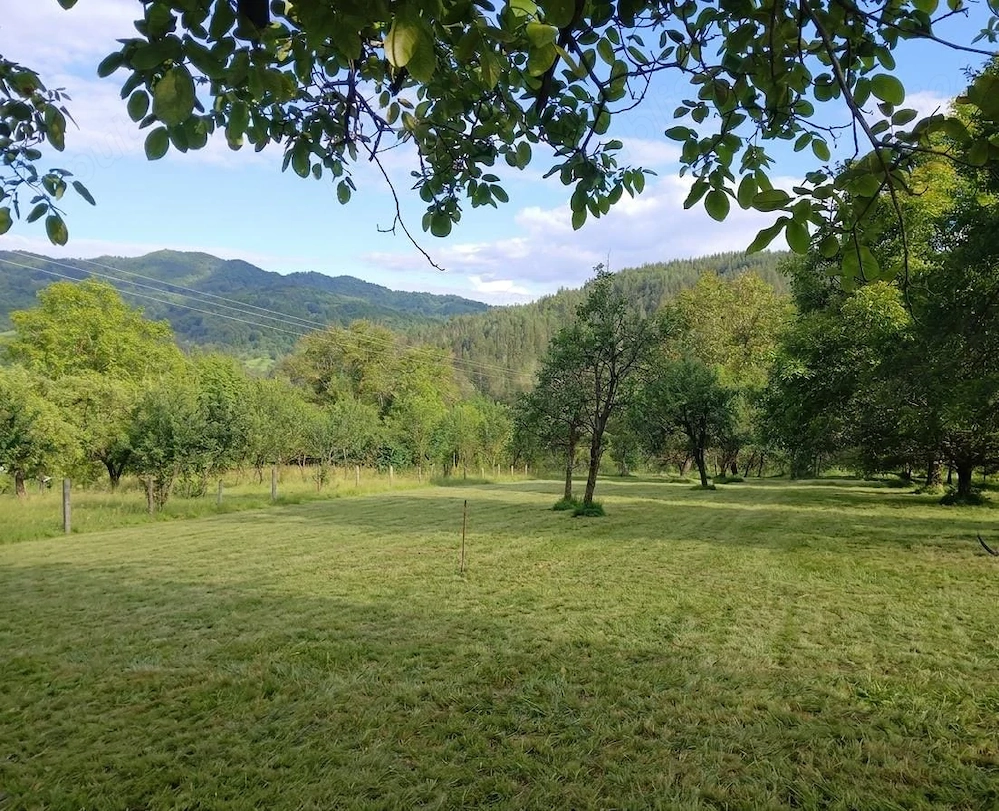 Teren intravilan in sat Prahuda, Com.Paltin