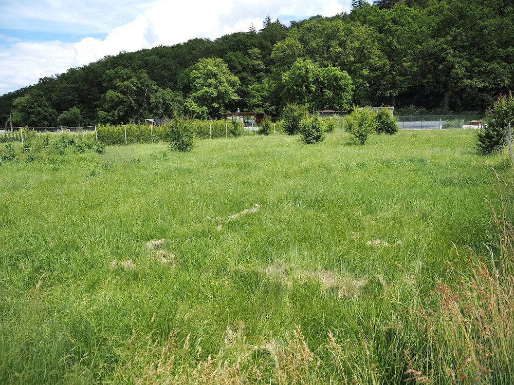 Teren intravilan in Cristian, Brasov, direct proprietar