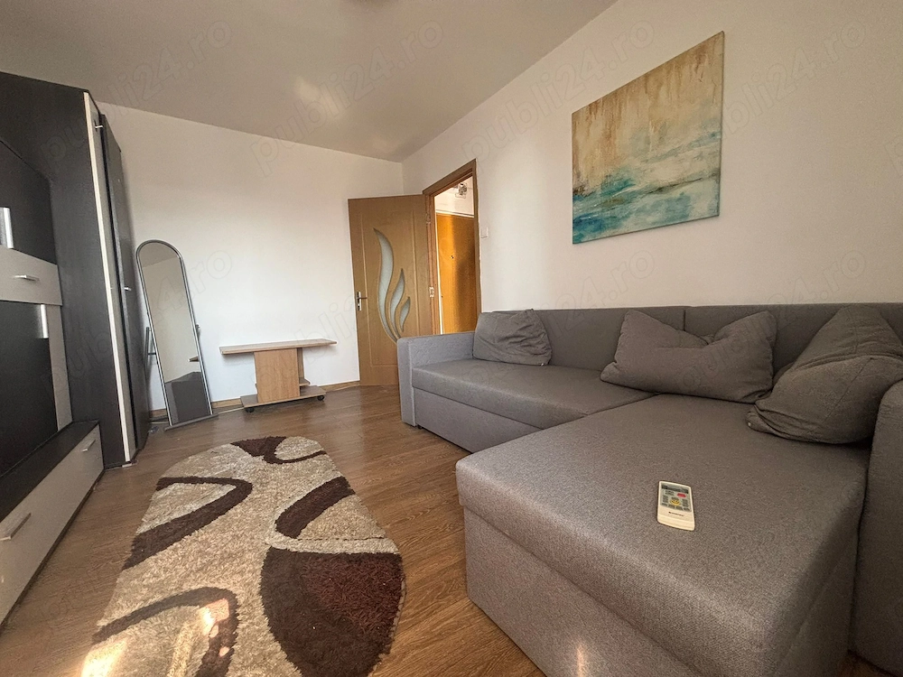 Ap. 2 camere decomandat Podu Roș, aer conditionat, 1001 articole