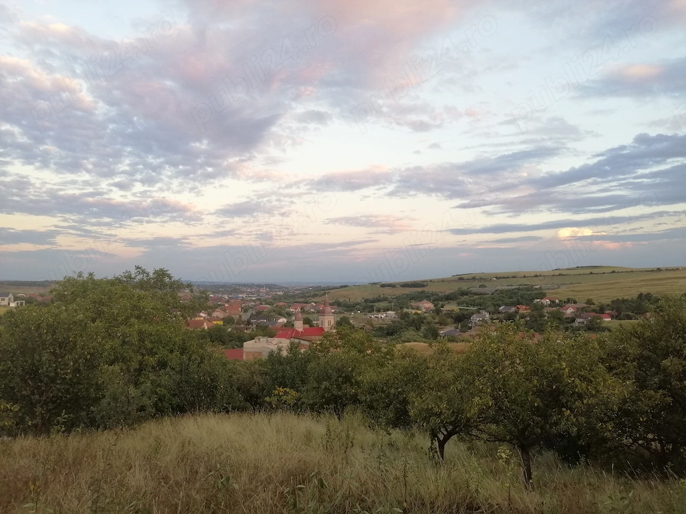 Domeniu Exclusivist 20 Ari în Copăceni   Panoramă Absolută spre Tot Satul și Turda, Utilități Active
