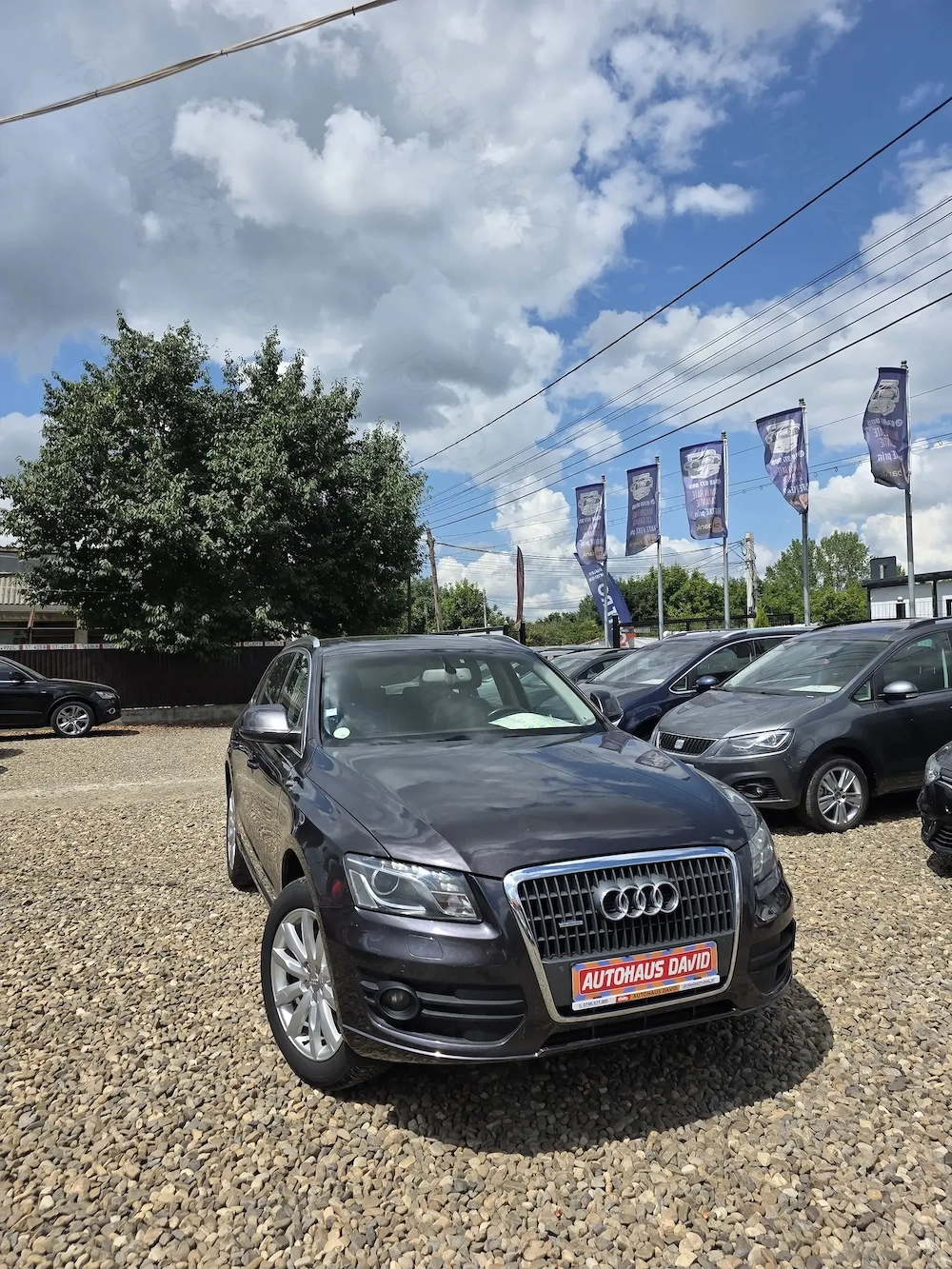 Audi Q5 2011 Quattro Euro 5 Trapă Panoramică