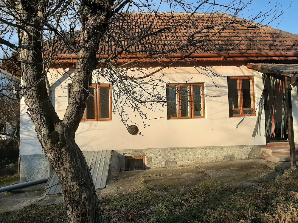 Vand casa cu livada