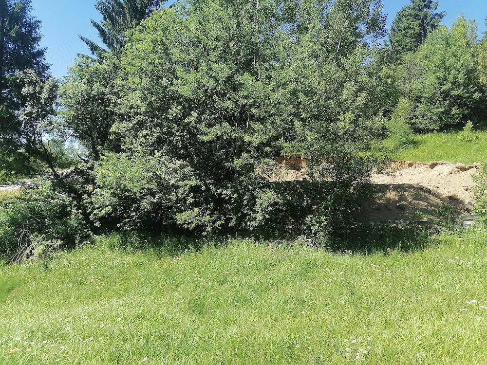 Vând teren cu izvoare la munte