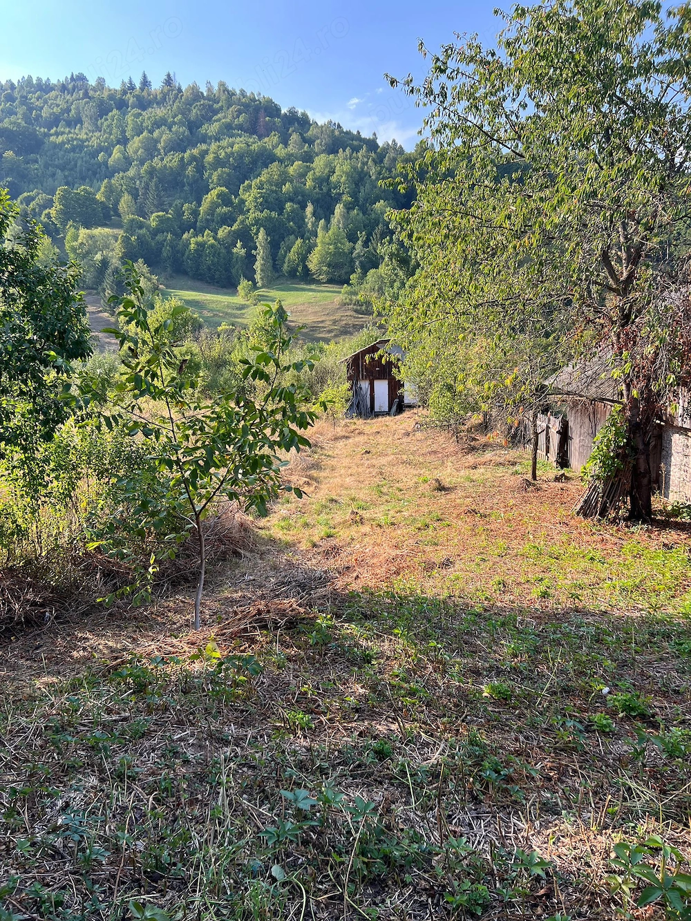 Teren de Vanzare Ceahlau 1522mp Intravilan la 6km de Durau si 500 de M de Coada Lacului Bicaz
