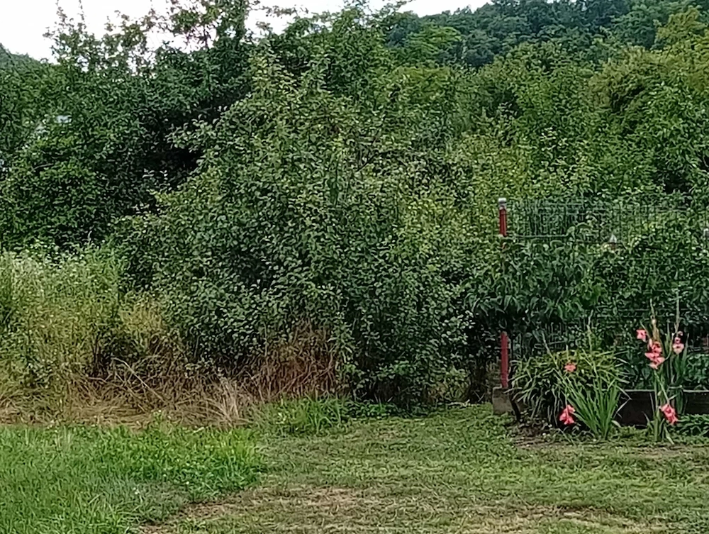 Vand teren intravilan in loc.beleti-negresti,jud.arges