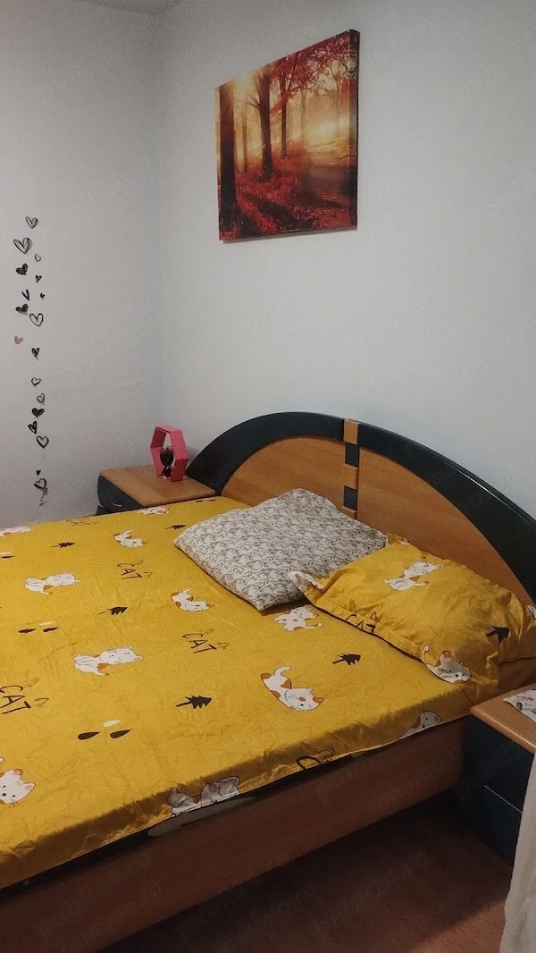 O camera pentru o fata